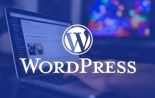 Wordpress Development and CMS Development Company in Hisar